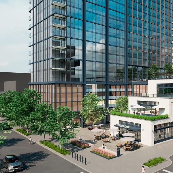 Descripción de la imagen