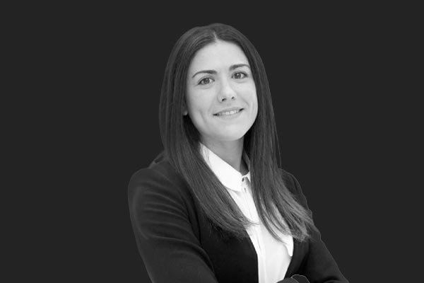 Descripción de la imagen