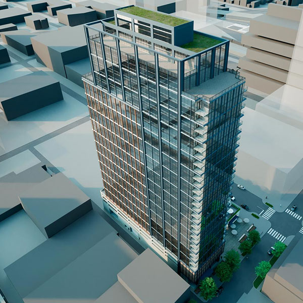 Descripción de la imagen