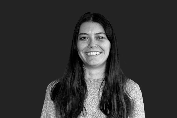 Descripción de la imagen