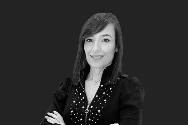 Descripción de la imagen