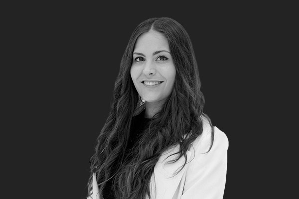 Descripción de la imagen