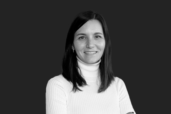 Descripción de la imagen