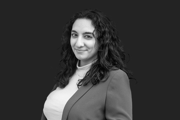 Descripción de la imagen