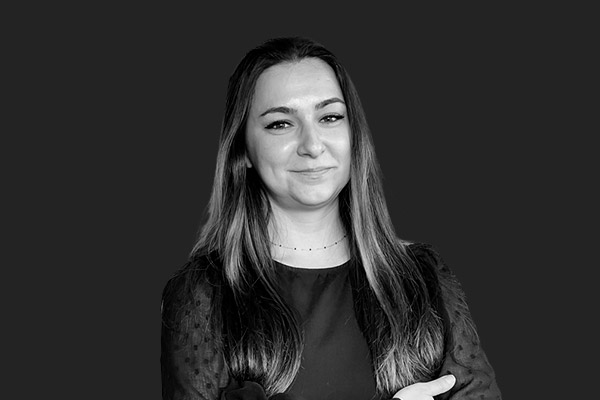 Descripción de la imagen