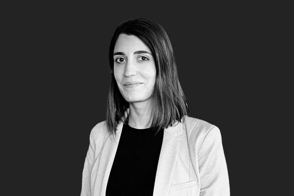 Descripción de la imagen