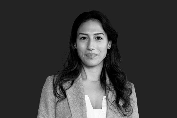 Descripción de la imagen