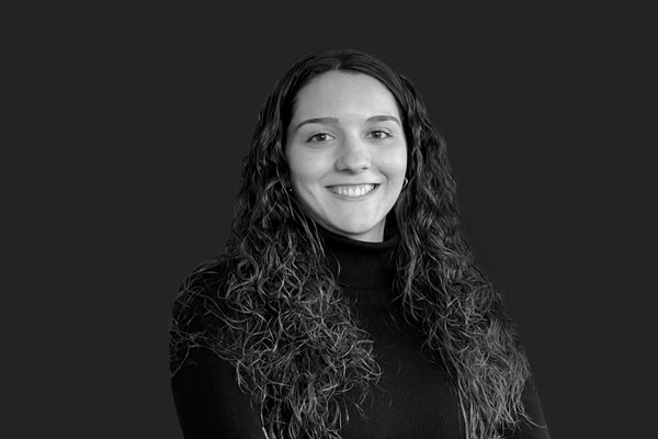 Descripción de la imagen