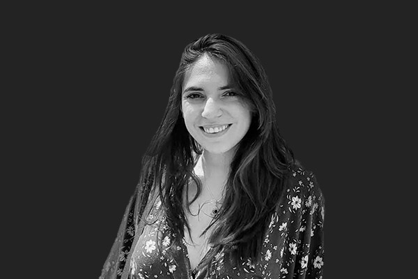 Descripción de la imagen