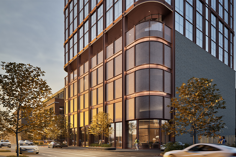 Descripción de la imagen