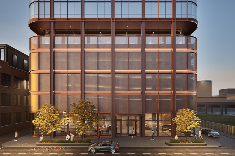 Descripción de la imagen