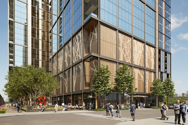 Descripción de la imagen